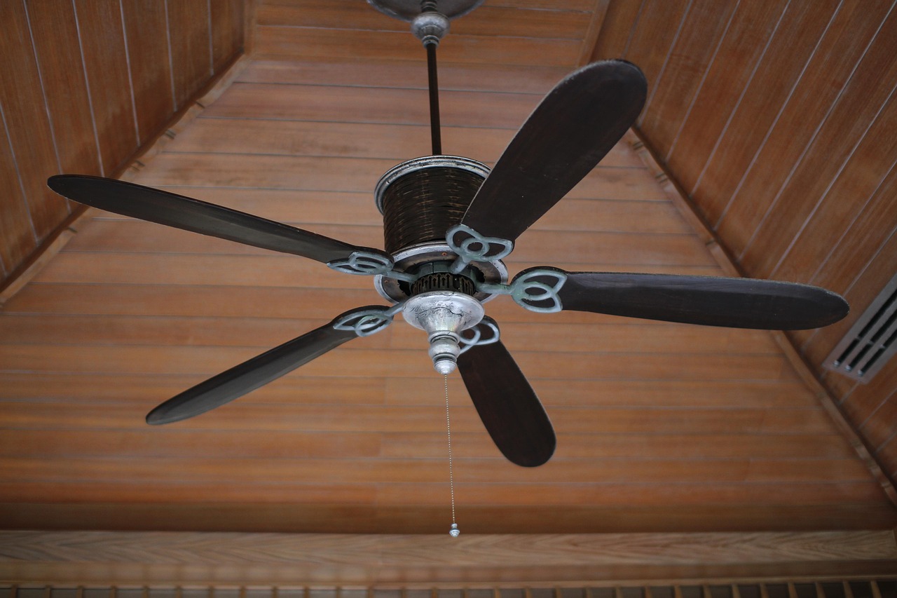 Ventilador de techo